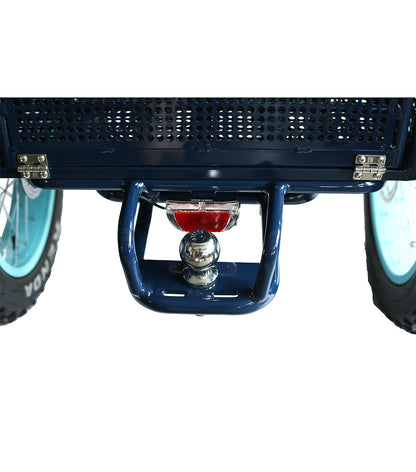 EVRY journey  Electric Rickshaw 1000w  Mid Drive