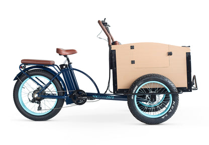 EVRYjourney Family Cargo Etrike 1000w