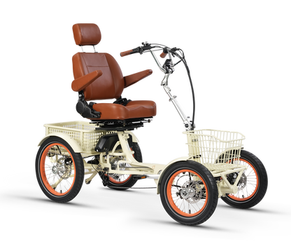 Simple Glide 4 Wheel 750w Ebike