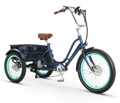 Relaxed Body 750 watt Electric Tricycle