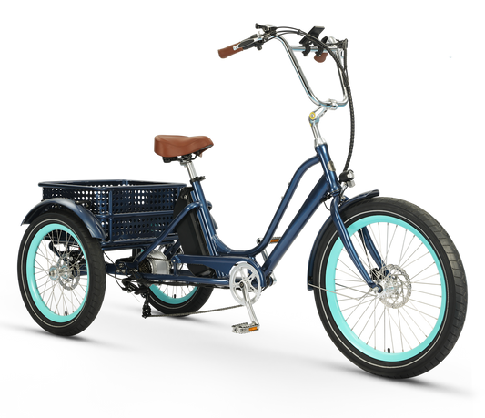 Relaxed Body 750 watt Electric Tricycle