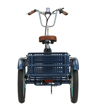 Relaxed Body 750 watt Electric Tricycle