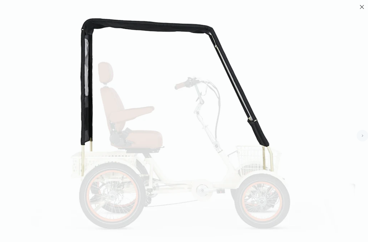 Simple Glide 4 Wheel EBike Canopy