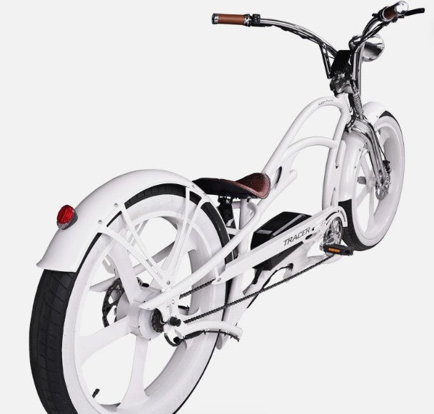 Raptor Pro DS 800W Stretch Cruiser Ebike