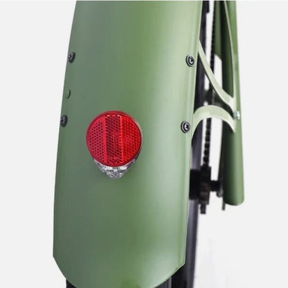 Raptor Pro DS 800W Stretch Cruiser Ebike