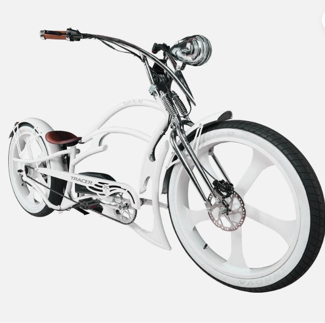 Raptor Pro DS 800W Stretch Cruiser Ebike