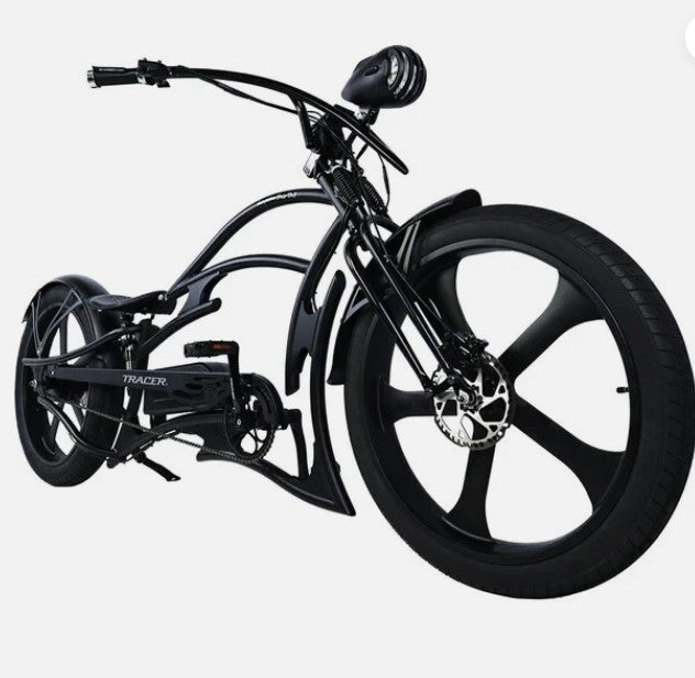 Raptor Pro DS 800W Stretch Cruiser Ebike