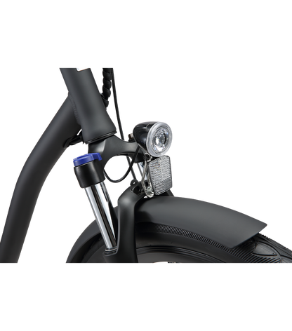EVRYJourney Men's 500W Deluxe E-Bike