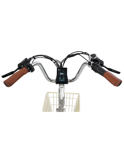 Simple Glide 4 Wheel 750w Ebike