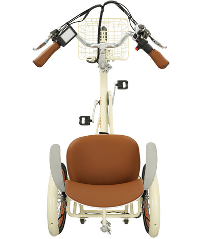 Simple Glide 500W  Recumbent E Trike