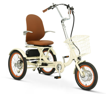 Simple Glide 500W  Recumbent E Trike