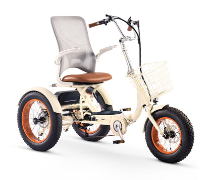 Simple Glide Fat Tire 750W  Recumbent E Trike 2026 w/ Footrest & Hitch Connector