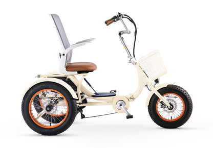 Simple Glide Fat Tire 750W  Recumbent E Trike 2026 w/ Footrest & Hitch Connector