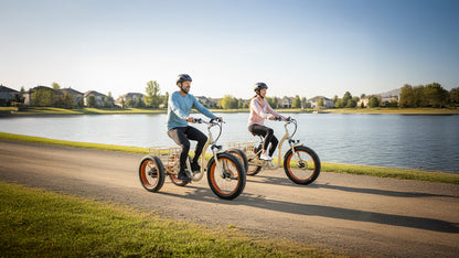 Simple Step Thru FAT Tire 3 Wheel Electric Bike
