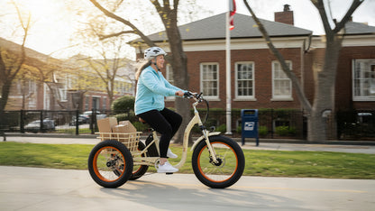 Simple Step Thru FAT Tire 3 Wheel Electric Bike