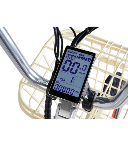 EVRYjourney Electric Trike Tandem 750w