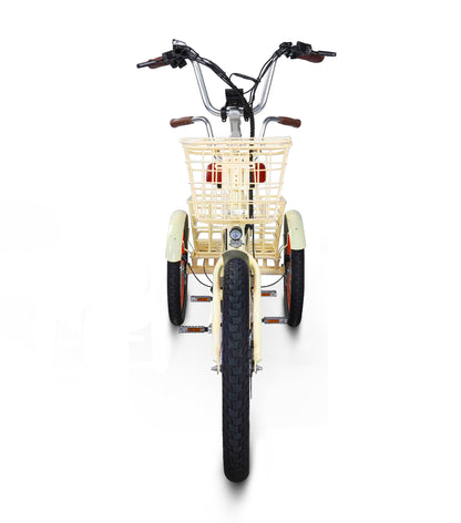 EVRYjourney Electric Trike Tandem 750w