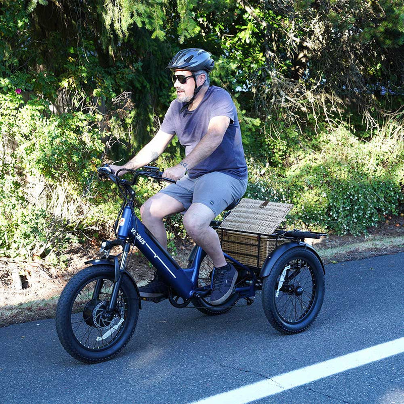 Wicker Picnic Basket for Tricycle