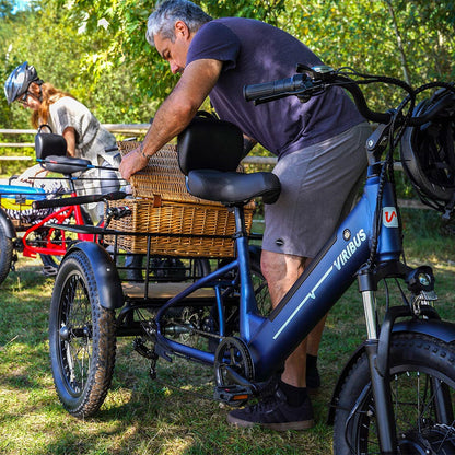 Wicker Picnic Basket for Tricycle