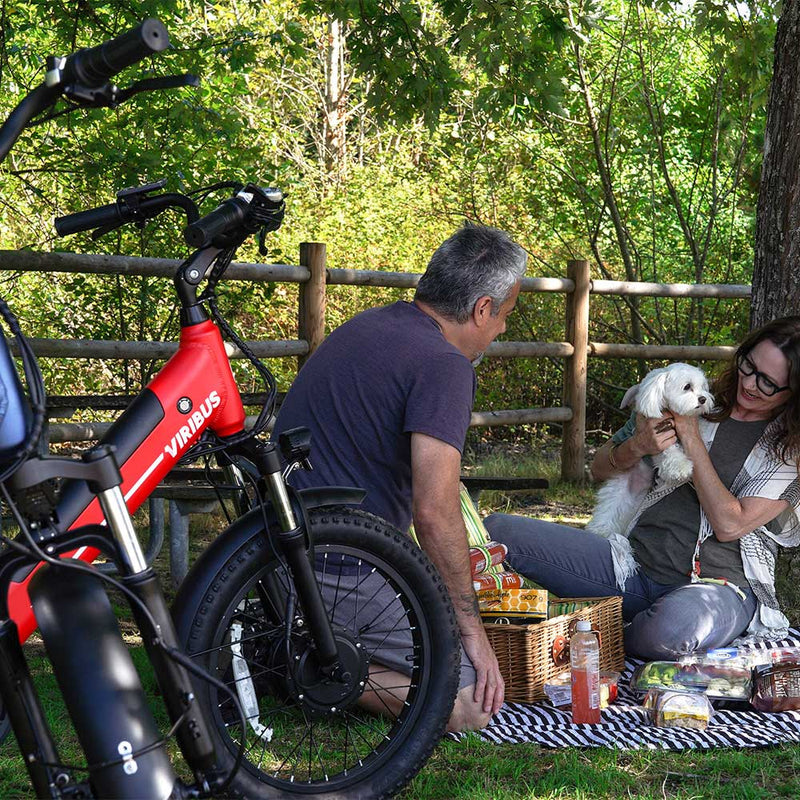 Wicker Picnic Basket for Tricycle