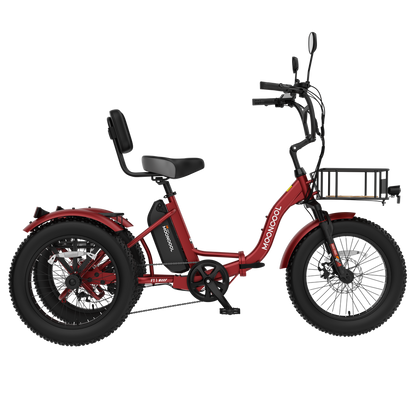 FT1 Electric Trike