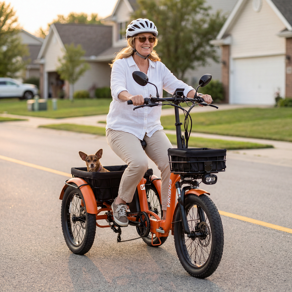 Viribus ST1 Folding Electric Tricycle