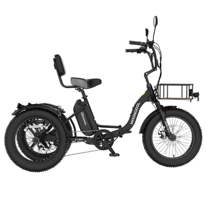 FT1 Electric Trike