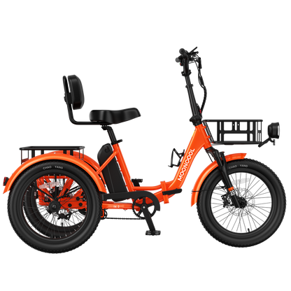 TK2 Electric Trike