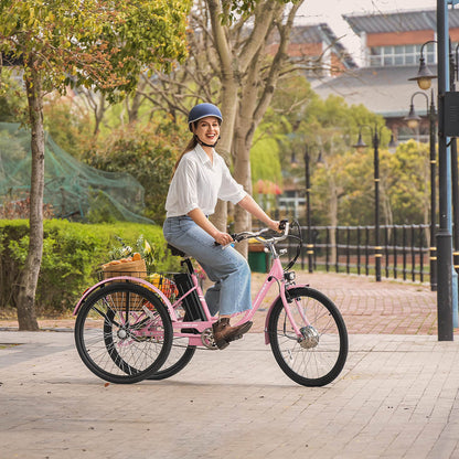 Viribus TG1 Electric Tricycle