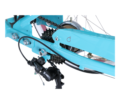 EVRY journey  Tricycle