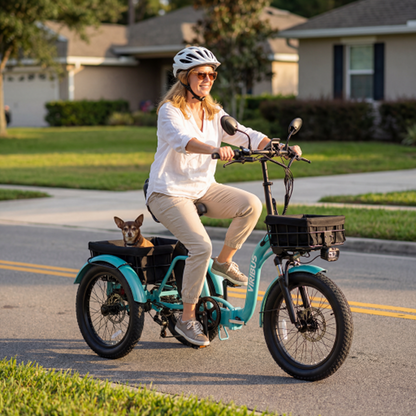 Viribus ST1 Folding Electric Tricycle
