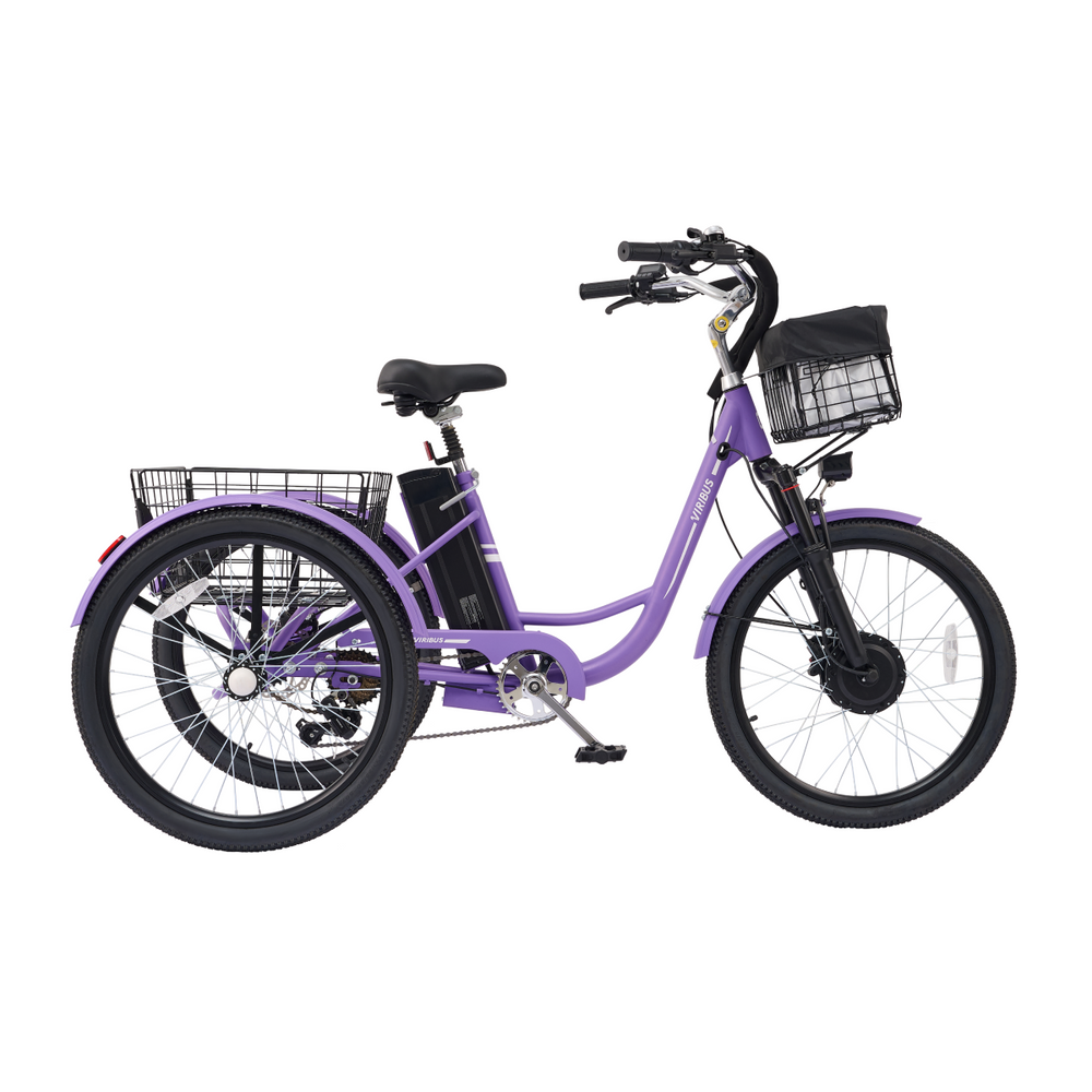 Viribus TG1 Electric Tricycle