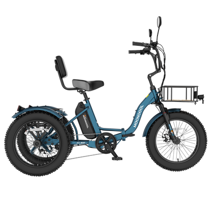 FT1 Electric Trike