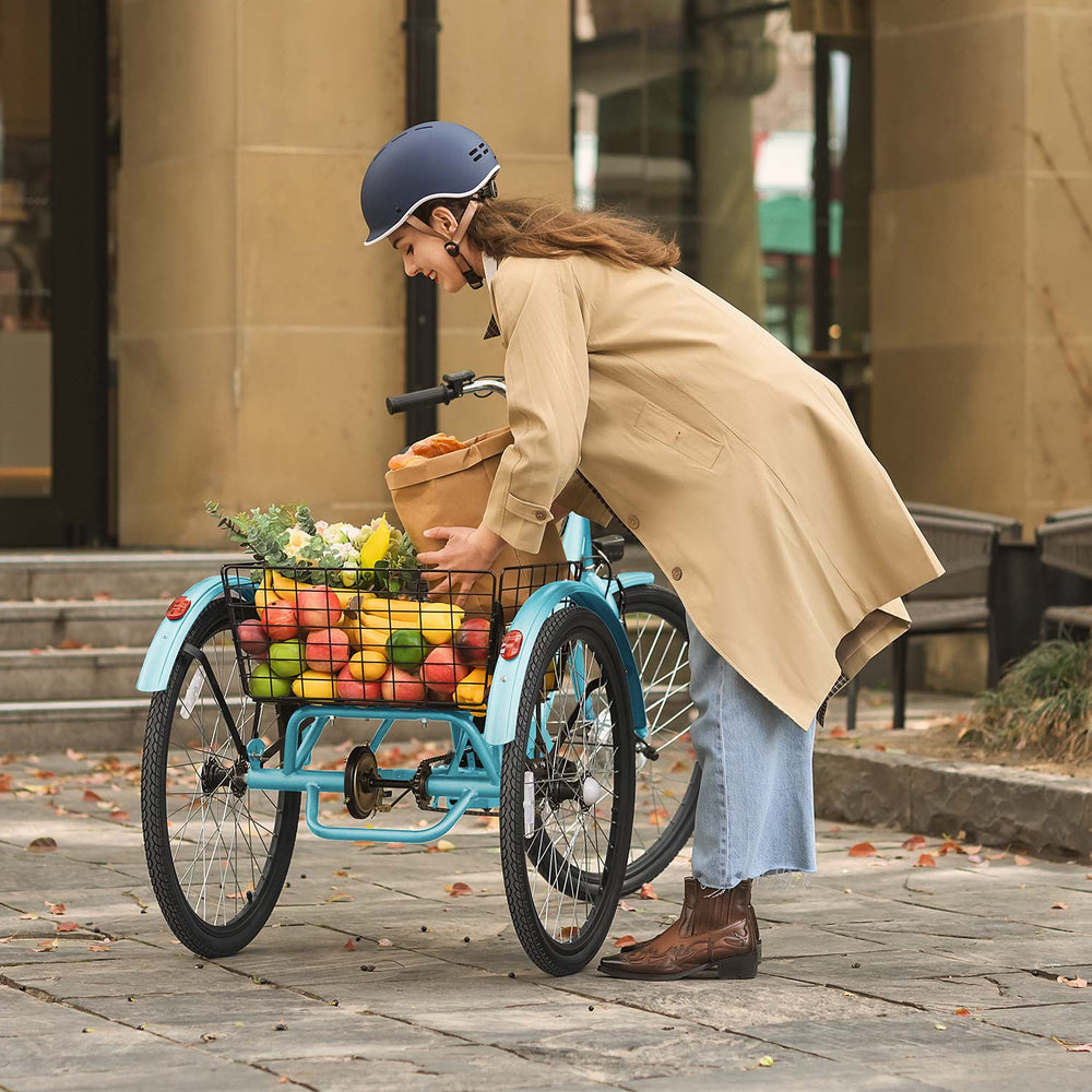 Viribus TG1 Electric Tricycle