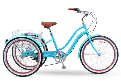 EVRY journey  Tricycle