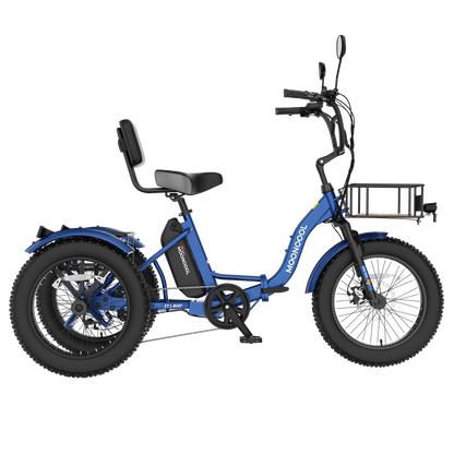 FT1 Electric Trike