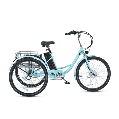 Viribus TG1 Electric Tricycle
