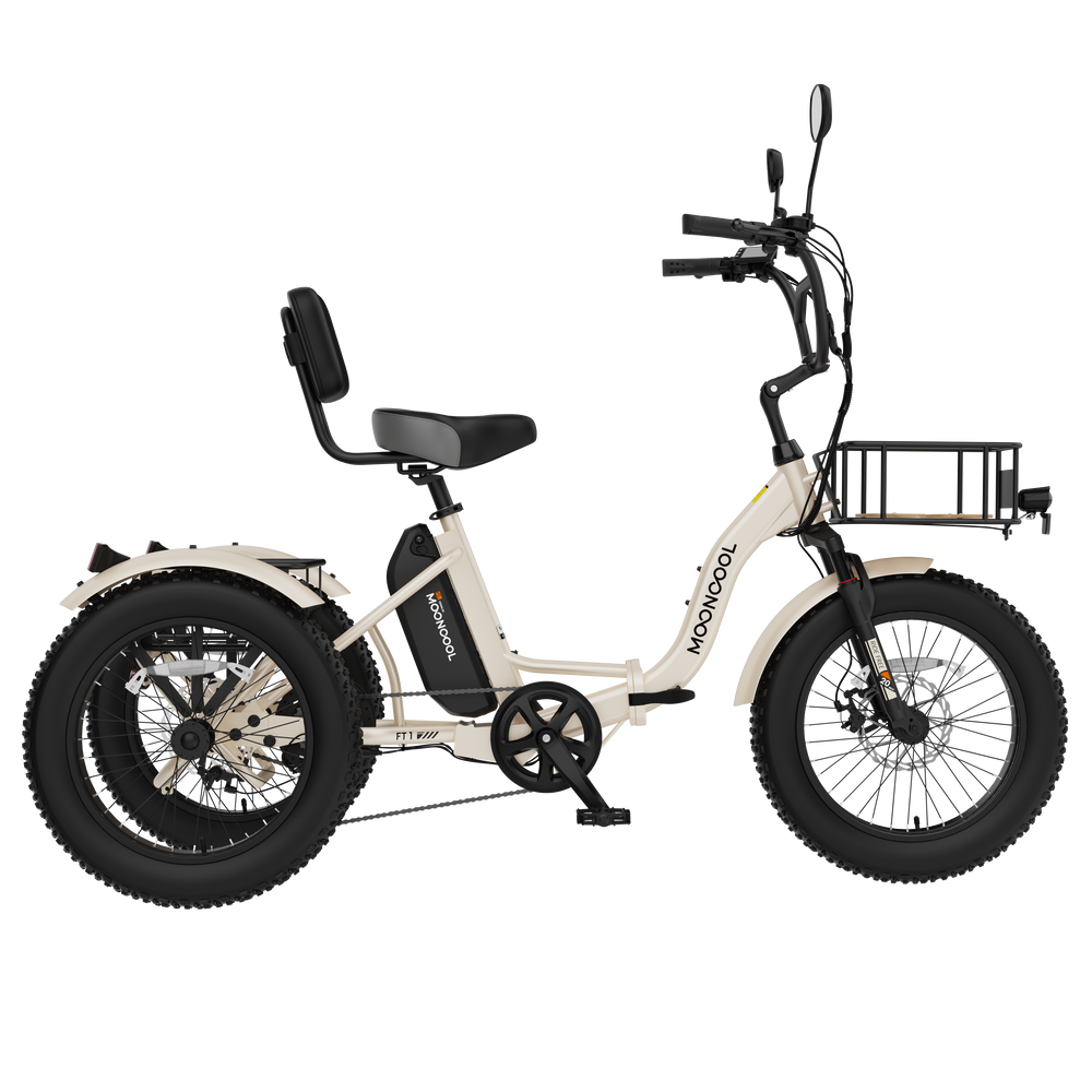 FT1 Electric Trike
