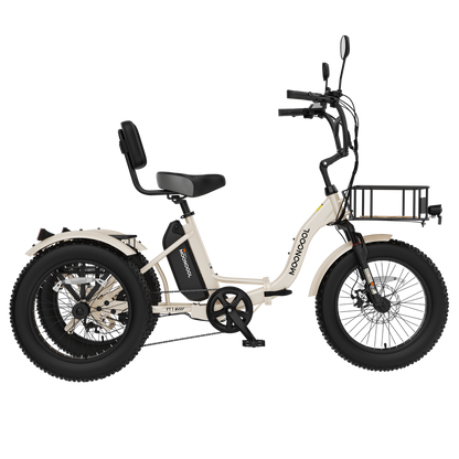FT1 Electric Trike