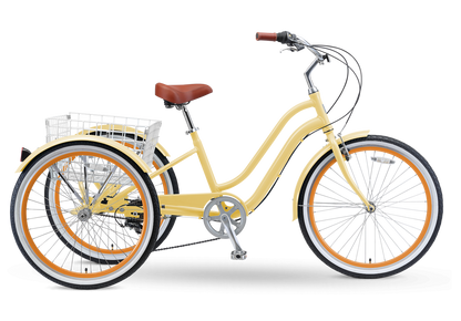 EVRY journey  Tricycle
