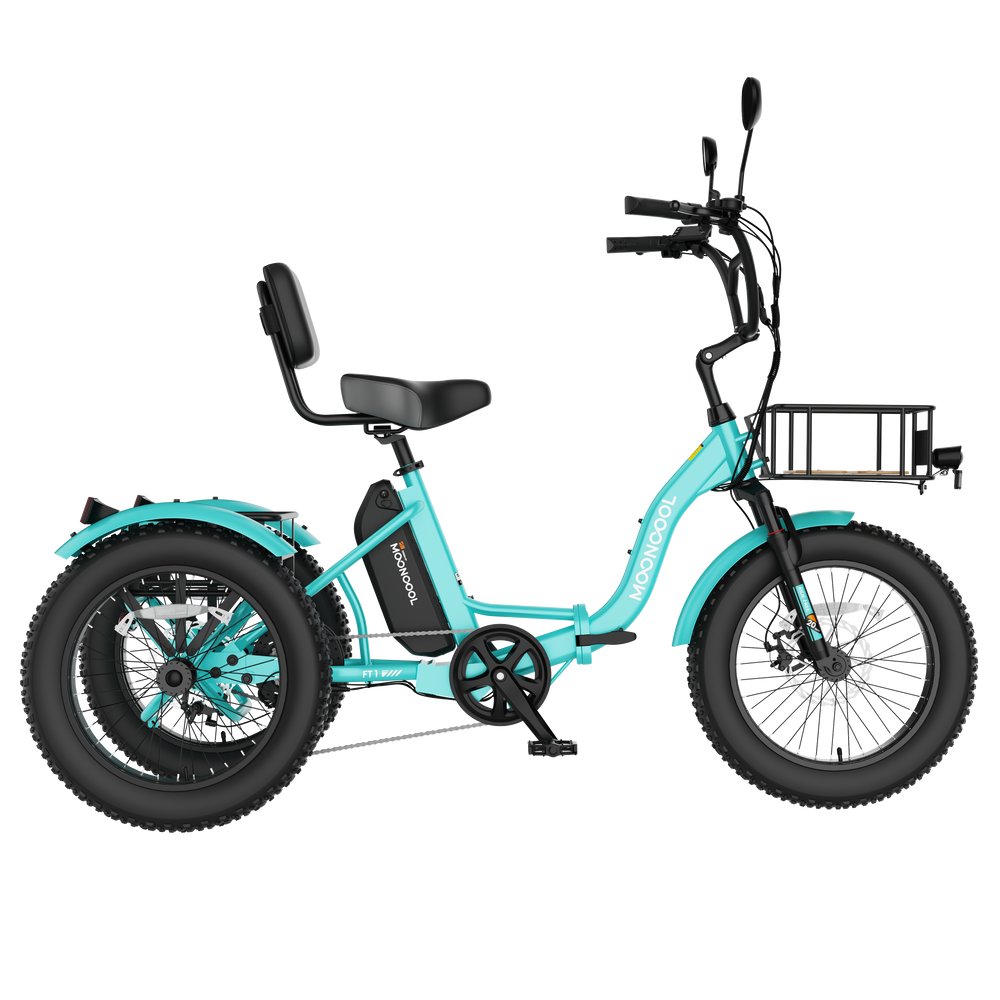 FT1 Electric Trike