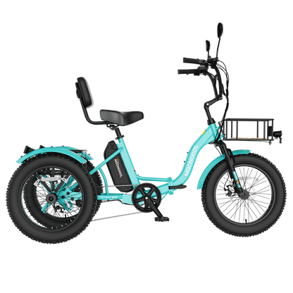FT1 Electric Trike