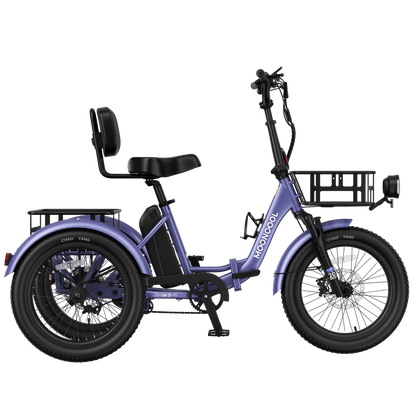 TK2 Electric Trike