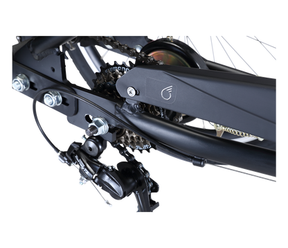 EVRY journey  Tricycle