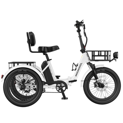 TK2 Electric Trike