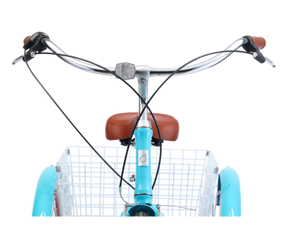 EVRY journey  Tricycle